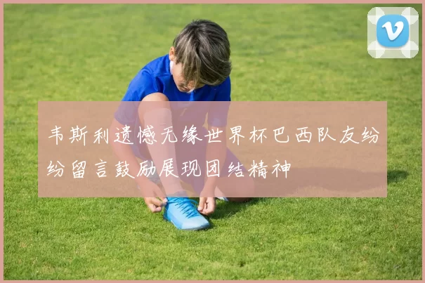 韦斯利遗憾无缘世界杯巴西队友纷纷留言鼓励展现团结精神