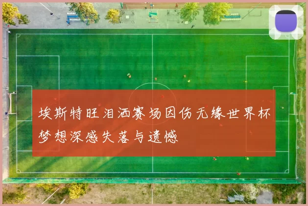埃斯特旺泪洒赛场因伤无缘世界杯梦想深感失落与遗憾